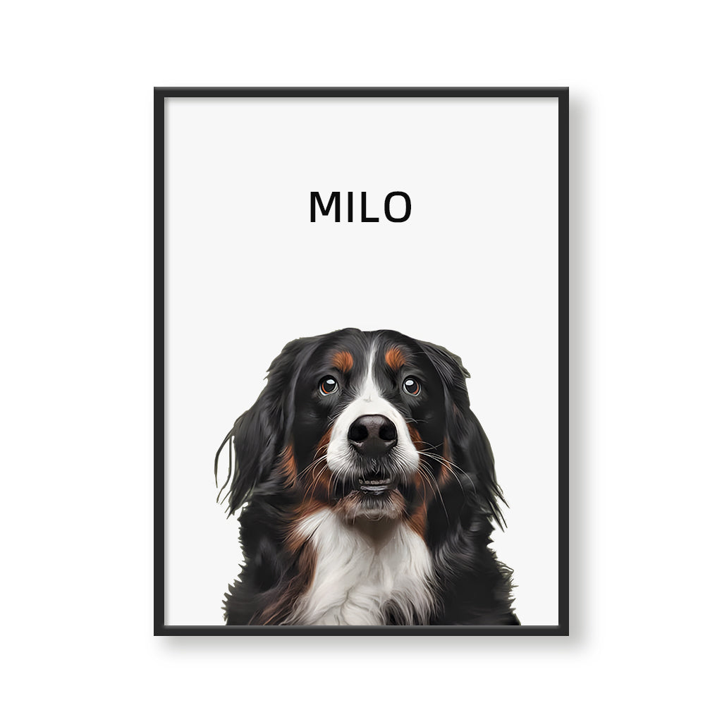 Modern Pet Portrait